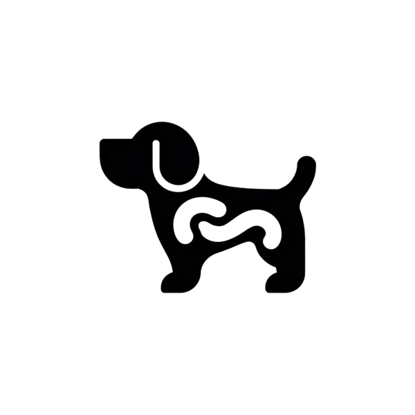 Schéma anatomique de chien stylisé pour pension-phoenix à Toulouse, Montauban, Albi, Castres, Saint Sulpice,