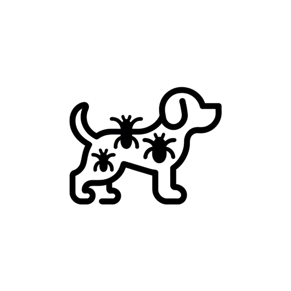 chien illustré avec tiques, prévention pension-phoenix à Toulouse, Montauban, Albi, Castres, Saint Sulpice,