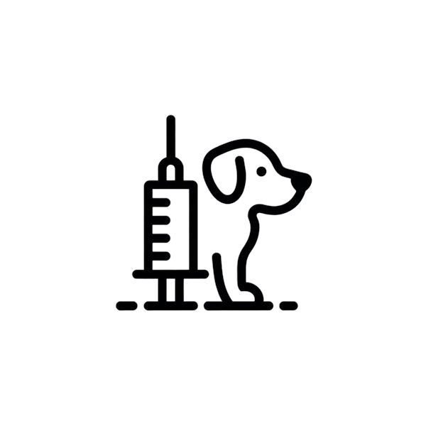 vaccination chien pension-phoenix à Toulouse, Montauban, Albi, Castres et Saint Sulpice, service vétérinaire,