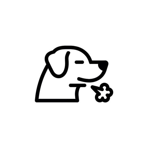 Chien stylisé toussant pour pension-phoenix à Toulouse, Montauban, Albi, Castres, Saint Sulpice,